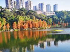 -重庆彩云湖湿地公园