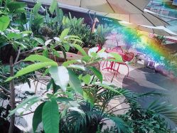 -蜜丝卡伦美甲美睫连锁