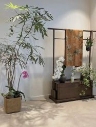 -柏姿舞蹈工作室