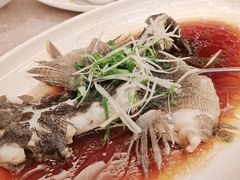 -新南华大酒店(广中店)