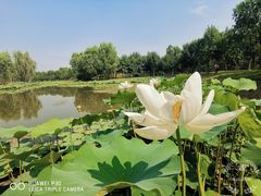 -东郊湿地公园