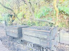 -热带雨林自然公园