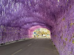 -海合安青岛极地海洋公园