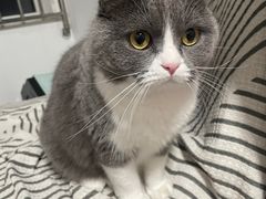 -小财盆地桌烤肉