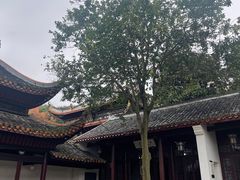 -岳麓山风景名胜区