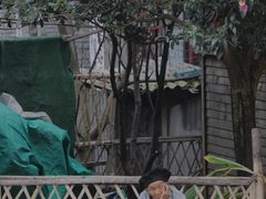 -高荡千年布依古寨旅游景区