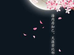-贝尔机器人编程中心(罗宾森店)