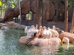 -北京野生动物园