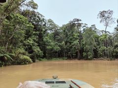 -热带雨林自然公园