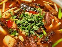 -院8里·小聚园老川菜(九眼桥店)