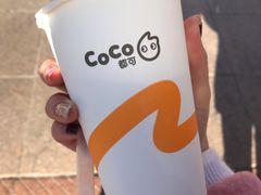 布丁奶茶-CoCo都可(西安路民勇店)