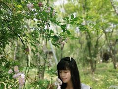 -鹅湖玫瑰文化园