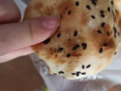 -中关村烤包子(中关村店)