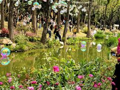 -人民公园(罗湖区)