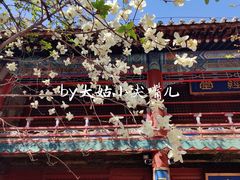 -潭柘寺景区