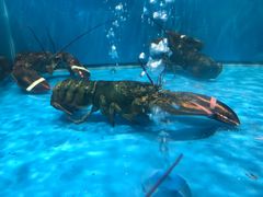 -宴西湖(滨湖公园店)