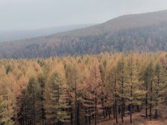 -塞罕坝国家级自然保护区