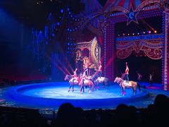 -珠海横琴长隆《卡卡虎奇遇记》