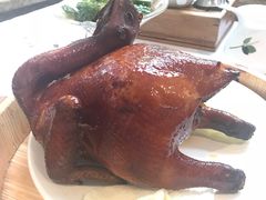 -稻香酒家·35年老字号(侨光店)