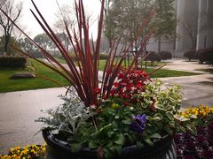 -无锡市市民中心