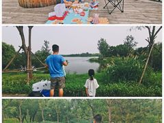 -东郊湿地公园