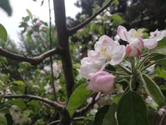 -莫子山公园