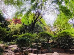 -大雁塔北广场音乐喷泉