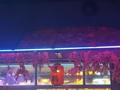 -喜鹊音乐酒馆(西街店)