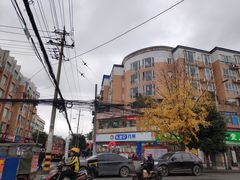 -绝城芋儿鸡(犀浦旗舰店)