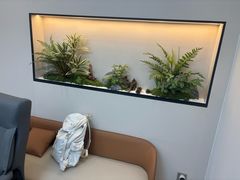 -瑞虹新天地月亮湾