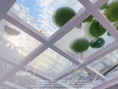 -蜜舍咖啡(洋人街店)