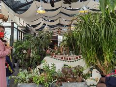 -北马山庄植趣咖啡