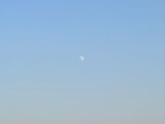 -胜华驾校·小猫学车(银都店)