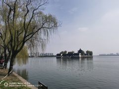 -苏州上方山国家森林公园