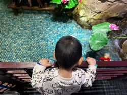 -酷嗒动物文化乐园(cutezoo西溪乐天城店)