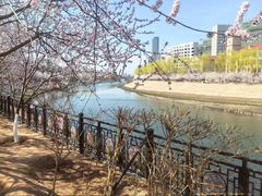 -桃花堤公园