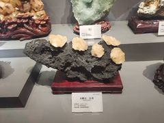 -湖南省地质博物馆
