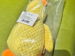-北京派仕佳德动物医院·超导核磁·CT·神经科·骨科·内外科·急重症管理中心