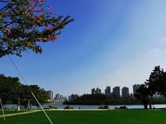 -白鹭洲公园