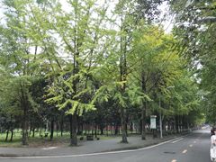 -四川大学(望江校区)