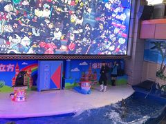 -成都浩海立方海洋公园