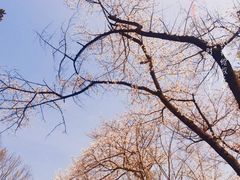 -月湖风景区
