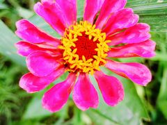 -天津东丽湖风景区