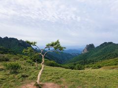 -秦岭风景区