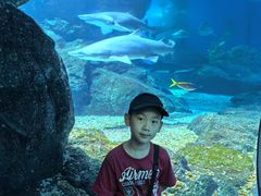 -暹罗海洋世界