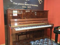 -柏斯琴行(汾阳店)