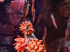 -沈阳海洋探索中心