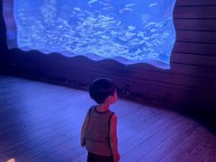 -太平洋海底世界