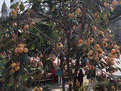 -古德寺素菜馆