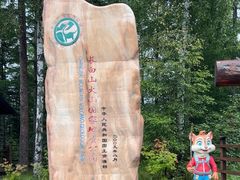 -峡谷浮石林景区